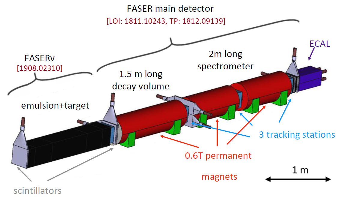 FASER detector layout