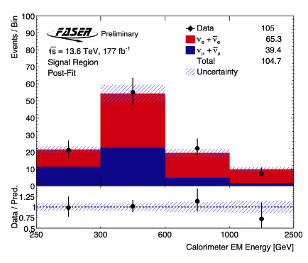 briefong 5 picture 1
